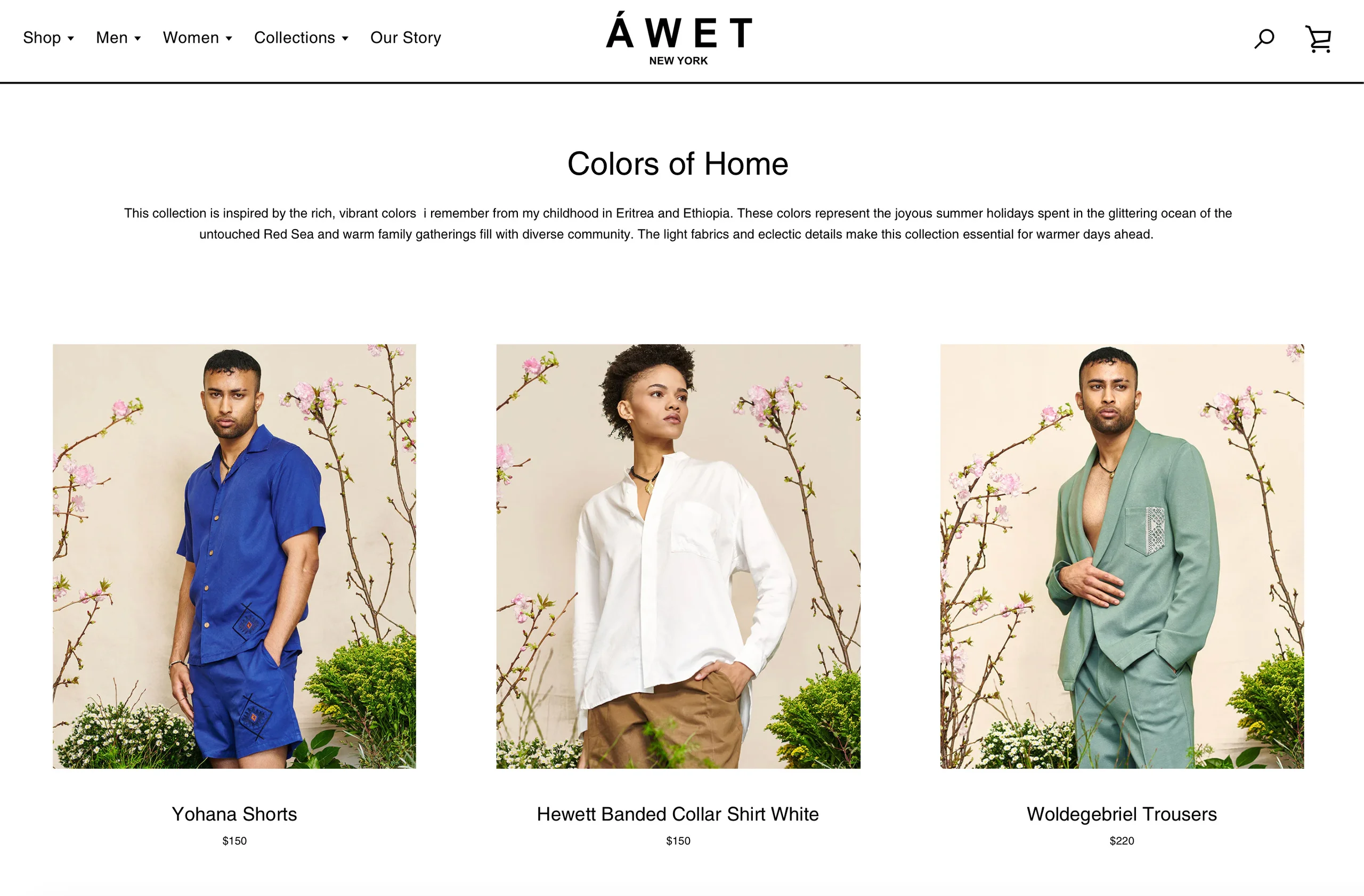 The ÁWET Colors of Home collection webpage displaying the fashion photographs.
